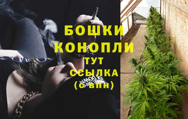 трава Арсеньев